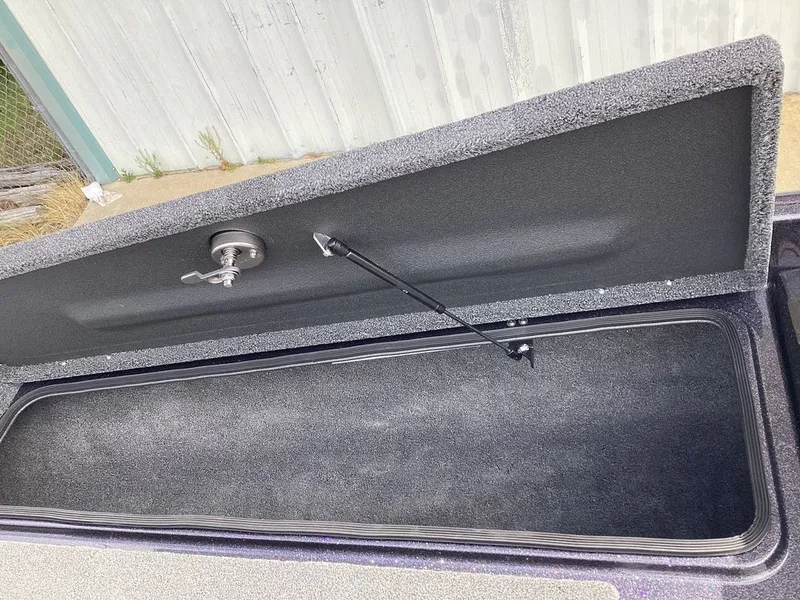 Slide: The Image of Bass Cat Eyra 2026 - 50