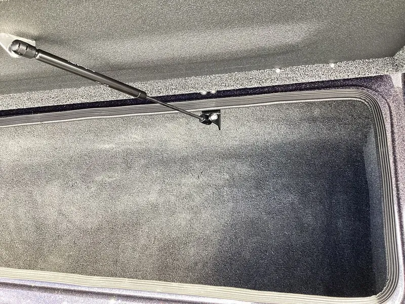 Slide: The Image of Bass Cat Eyra 2026 - 51