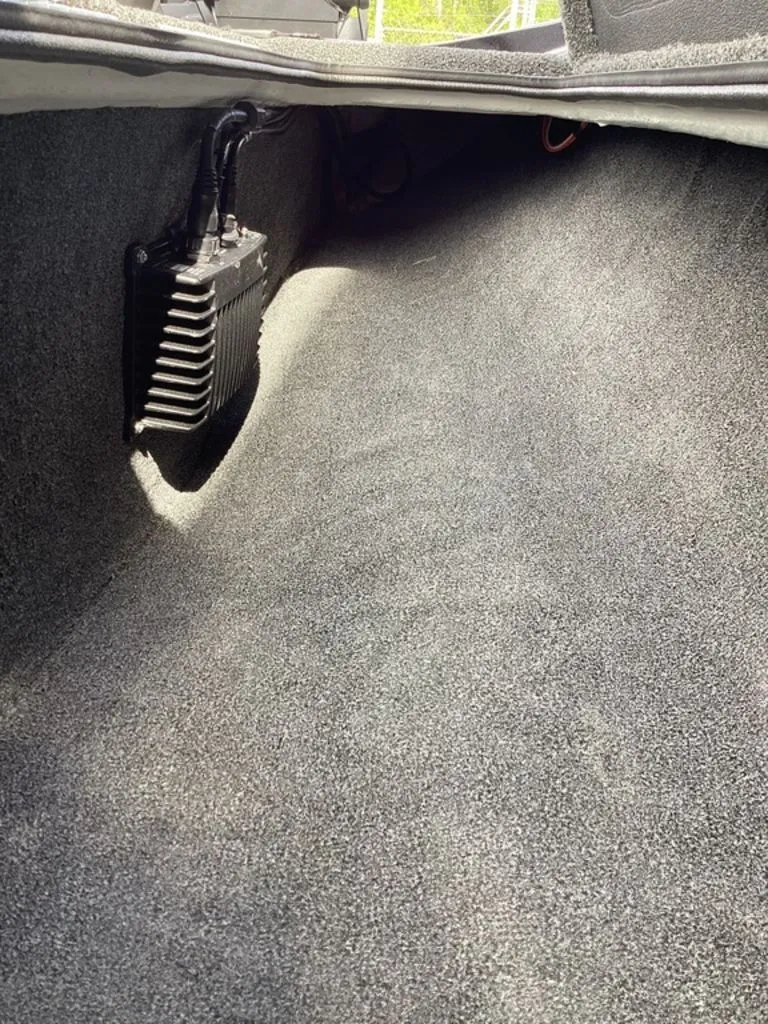 Slide: The Image of Bass Cat Eyra 2026 - 52