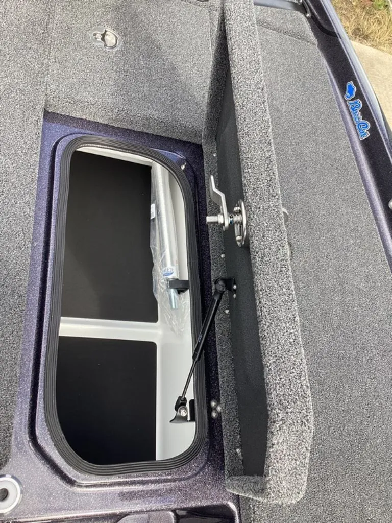 Slide: The Image of Bass Cat Eyra 2026 - 53