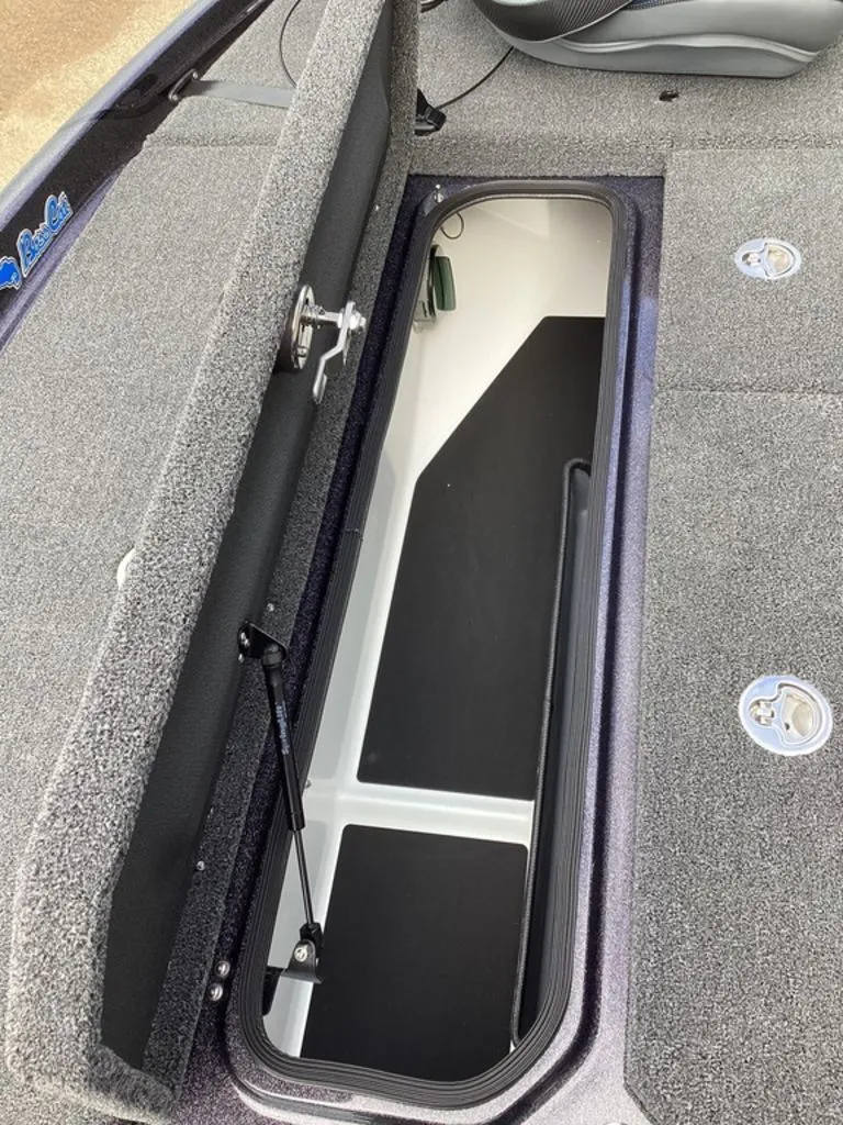 Slide: The Image of Bass Cat Eyra 2026 - 54