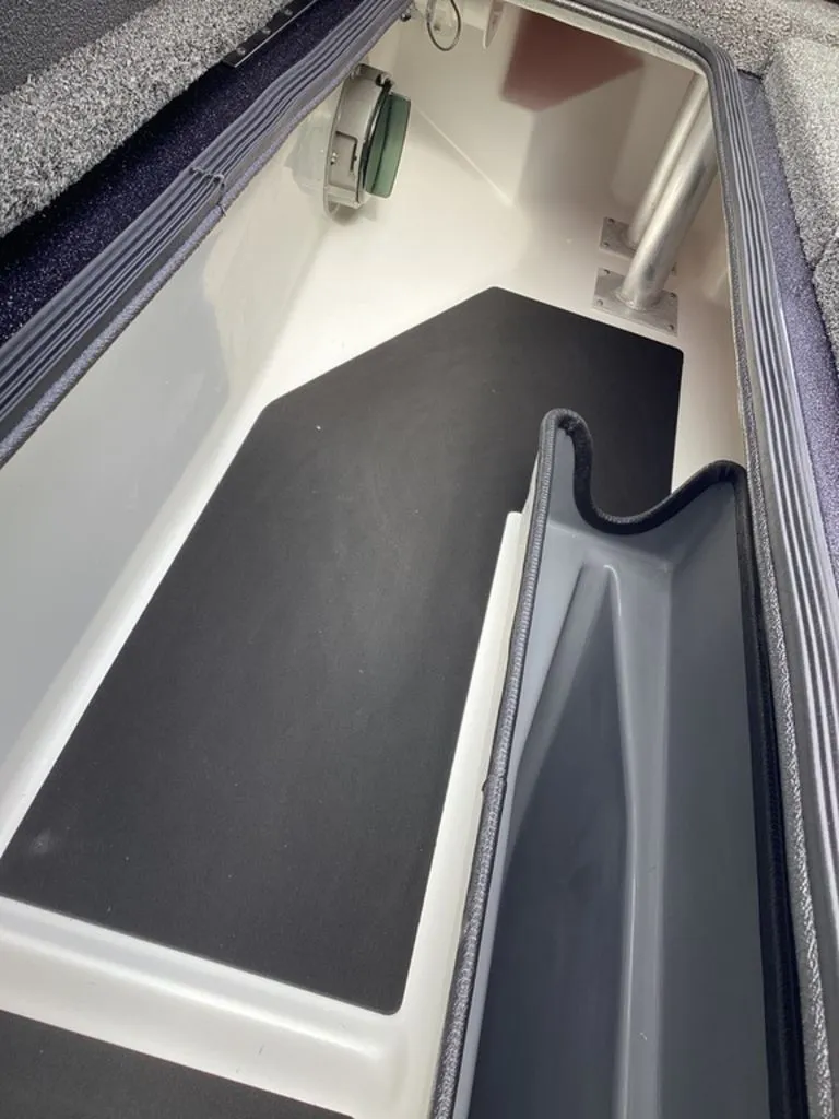 Slide: The Image of Bass Cat Eyra 2026 - 56