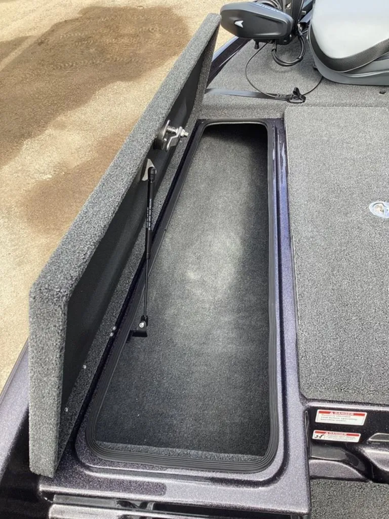 Slide: The Image of Bass Cat Eyra 2026 - 57