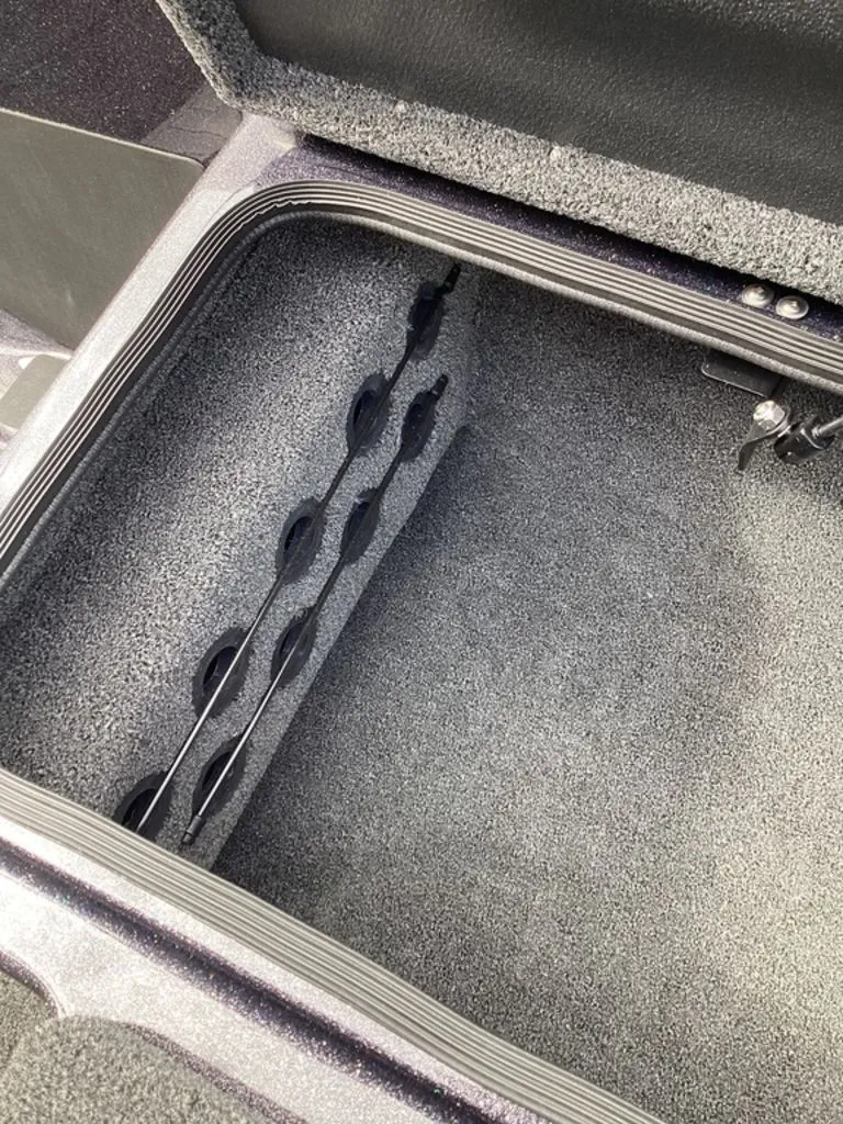 Slide: The Image of Bass Cat Eyra 2026 - 58