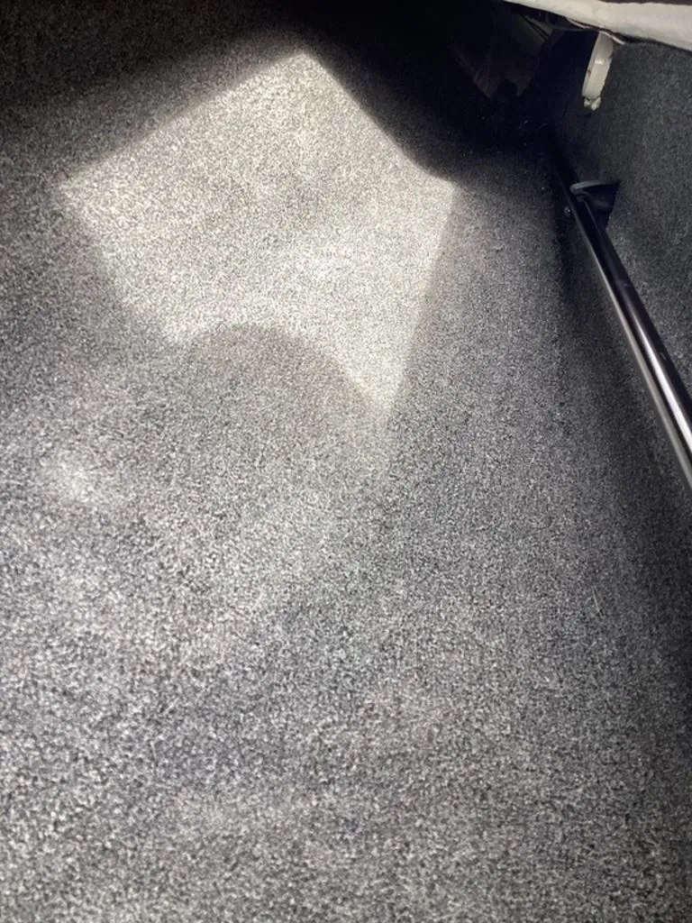 Slide: The Image of Bass Cat Eyra 2026 - 59