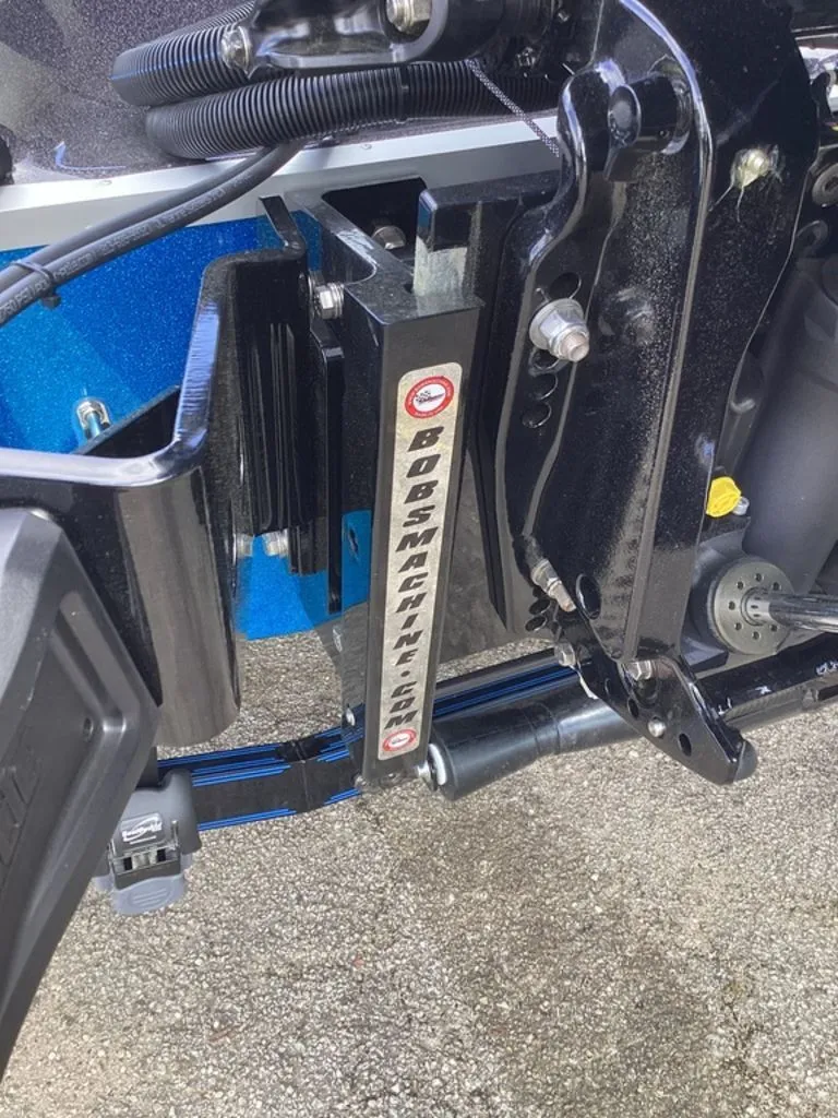 Slide: The Image of Bass Cat Eyra 2026 - 6