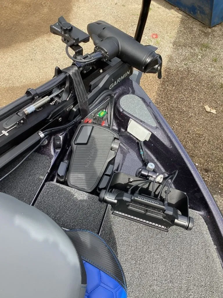 Slide: The Image of Bass Cat Eyra 2026 - 60