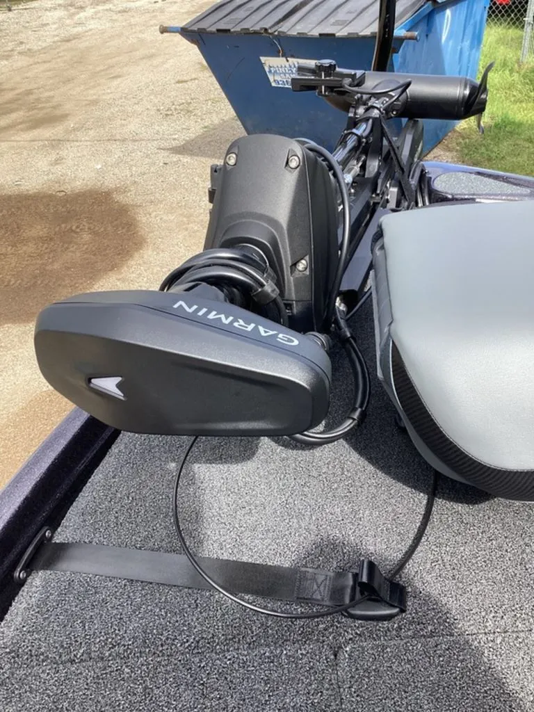 Slide: The Image of Bass Cat Eyra 2026 - 61