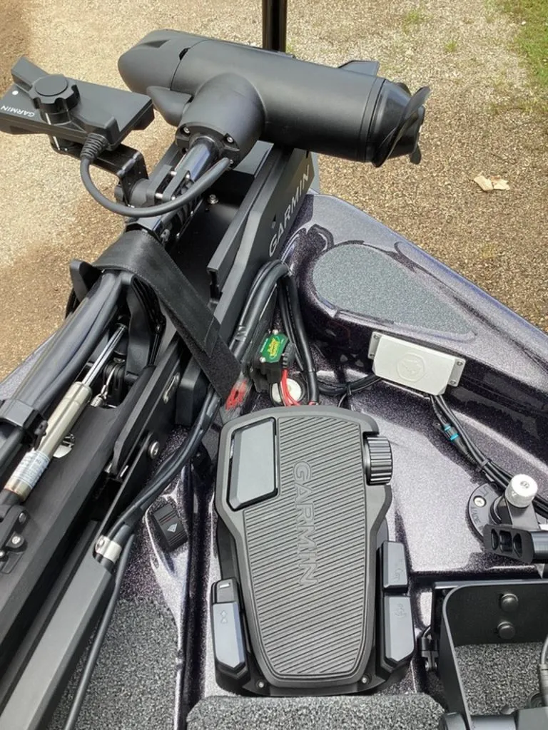 Slide: The Image of Bass Cat Eyra 2026 - 65