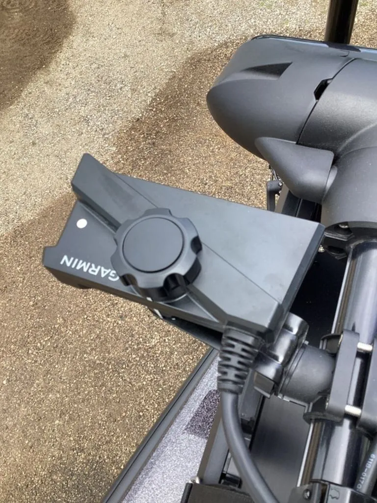 Slide: The Image of Bass Cat Eyra 2026 - 66