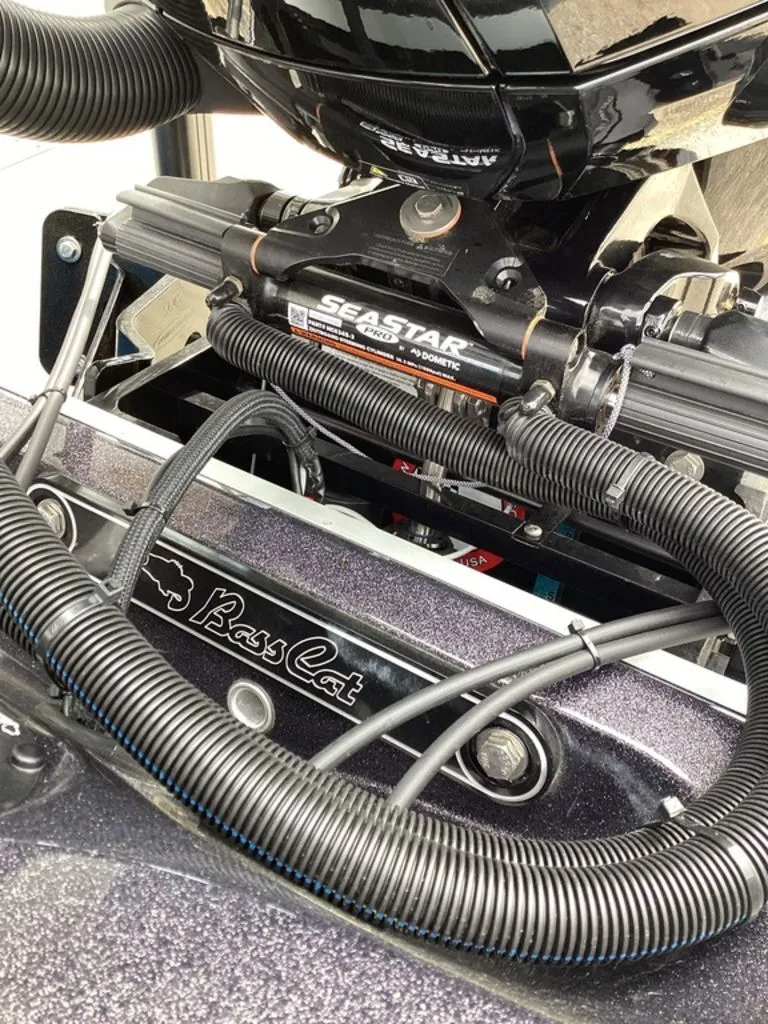 Slide: The Image of Bass Cat Eyra 2026 - 70