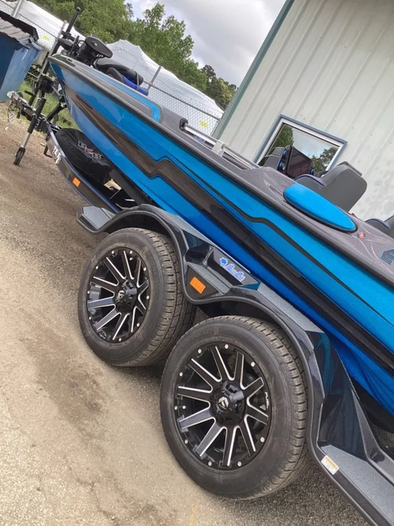 Slide: The Image of Bass Cat Eyra 2026 - 73