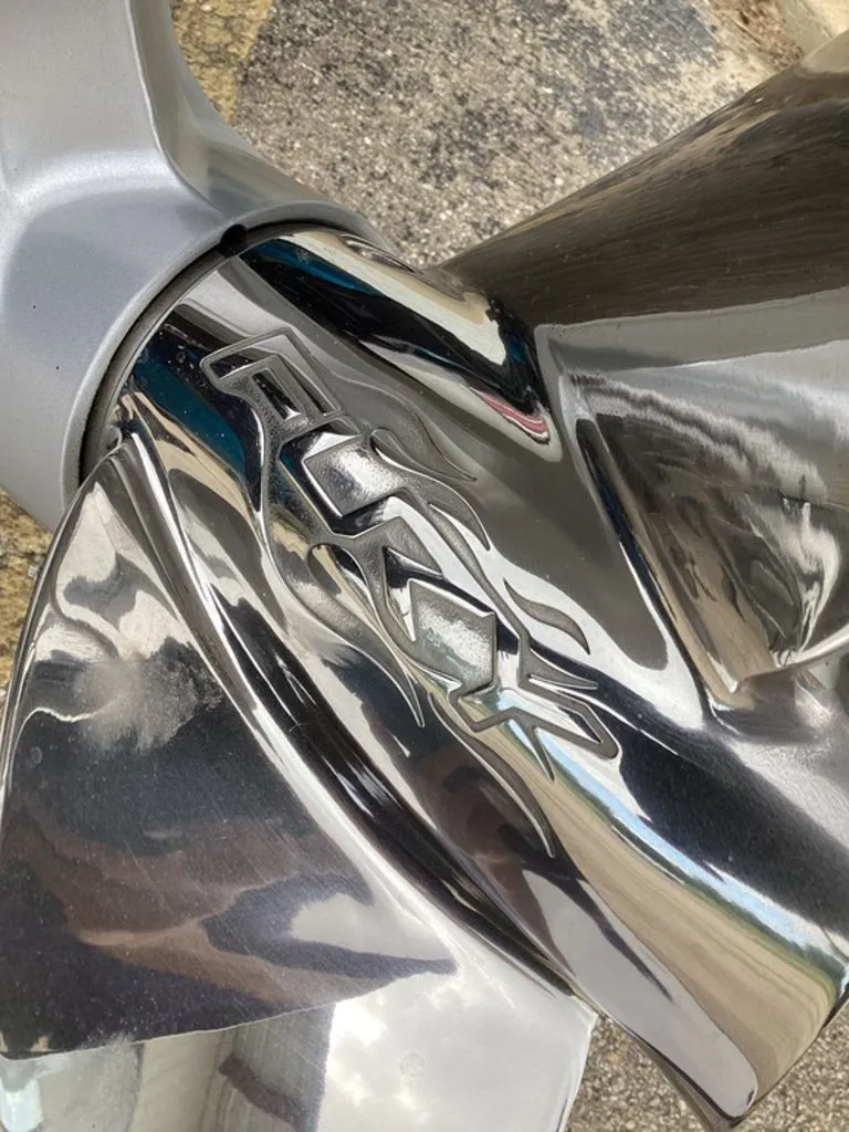 Slide: The Image of Bass Cat Eyra 2026 - 74