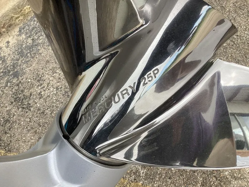 Slide: The Image of Bass Cat Eyra 2026 - 75