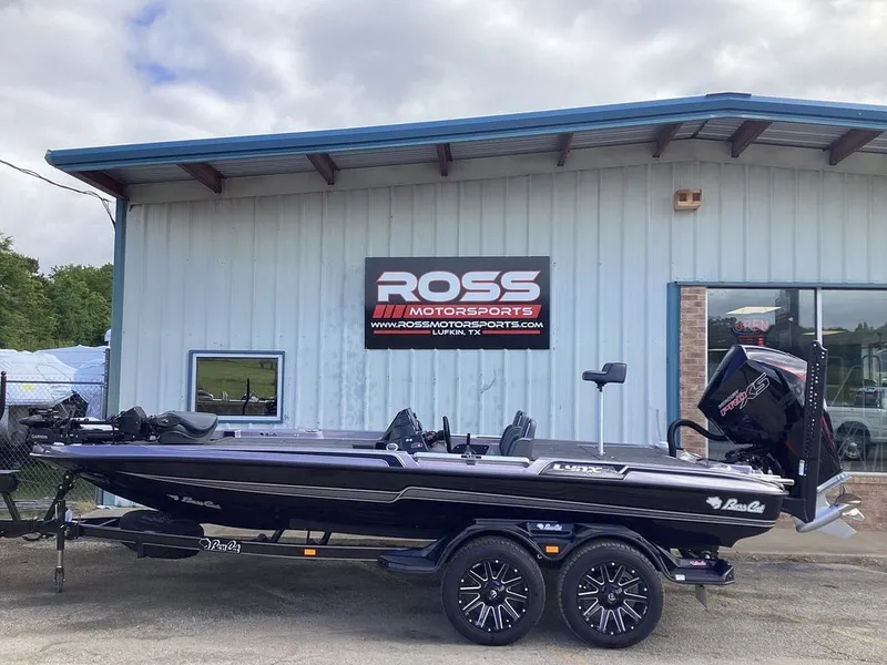 The Image of Bass Cat Lynx 2026 - 1