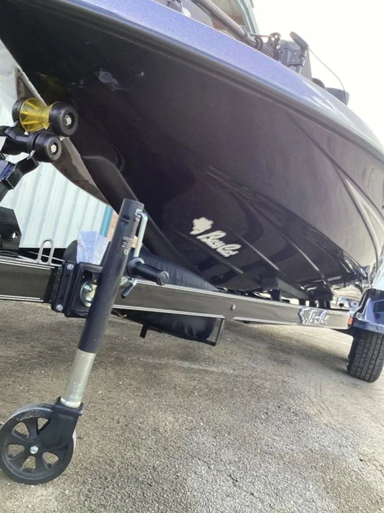 Slide: The Image of Bass Cat Lynx 2026 - 16