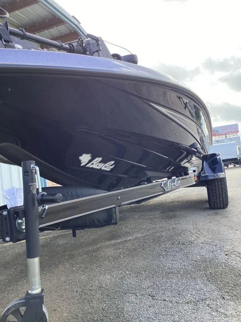 Slide: The Image of Bass Cat Lynx 2026 - 17