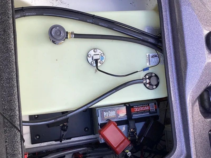 Slide: The Image of Bass Cat Lynx 2026 - 27