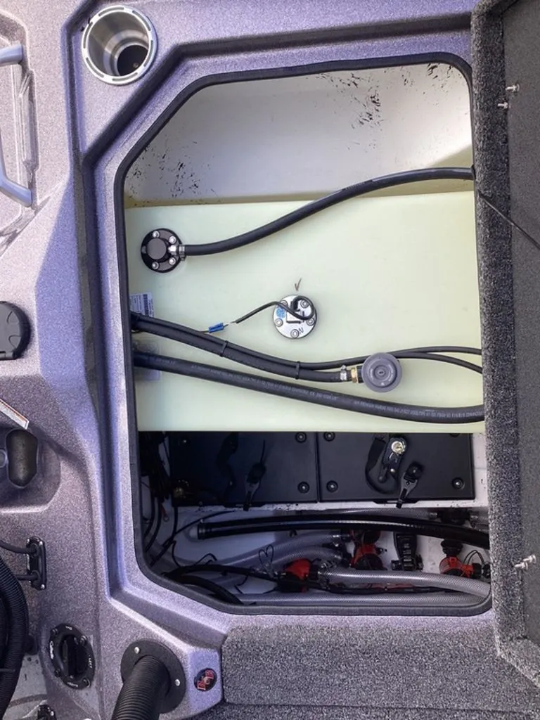 Slide: The Image of Bass Cat Lynx 2026 - 28