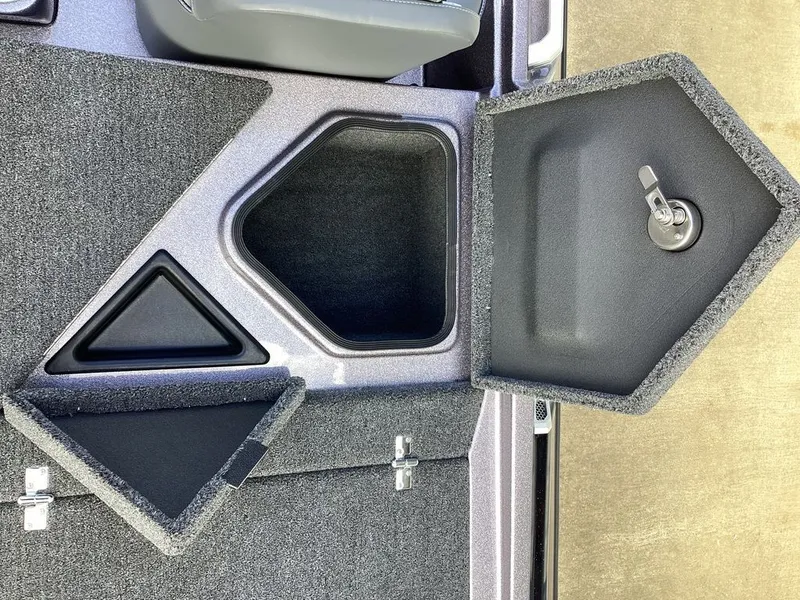 Slide: The Image of Bass Cat Lynx 2026 - 29