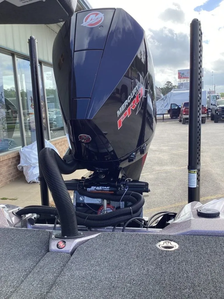 Slide: The Image of Bass Cat Lynx 2026 - 32