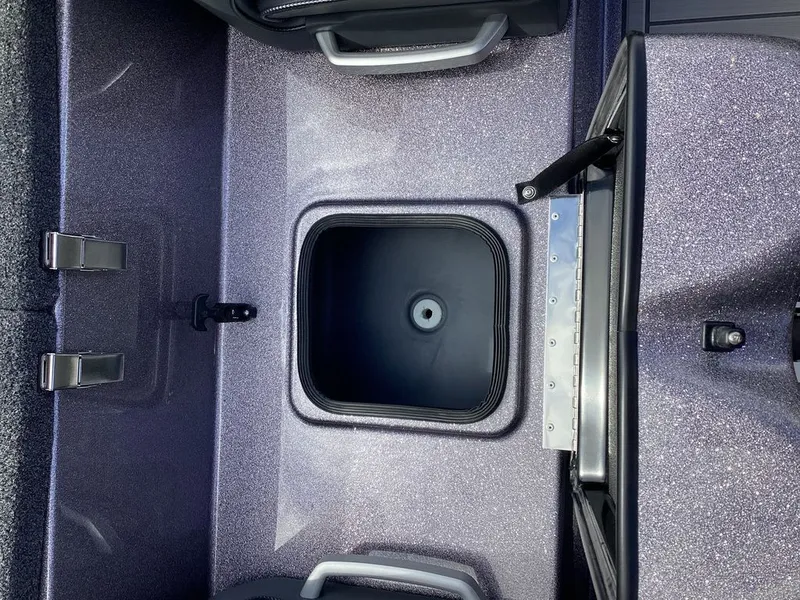 Slide: The Image of Bass Cat Lynx 2026 - 38