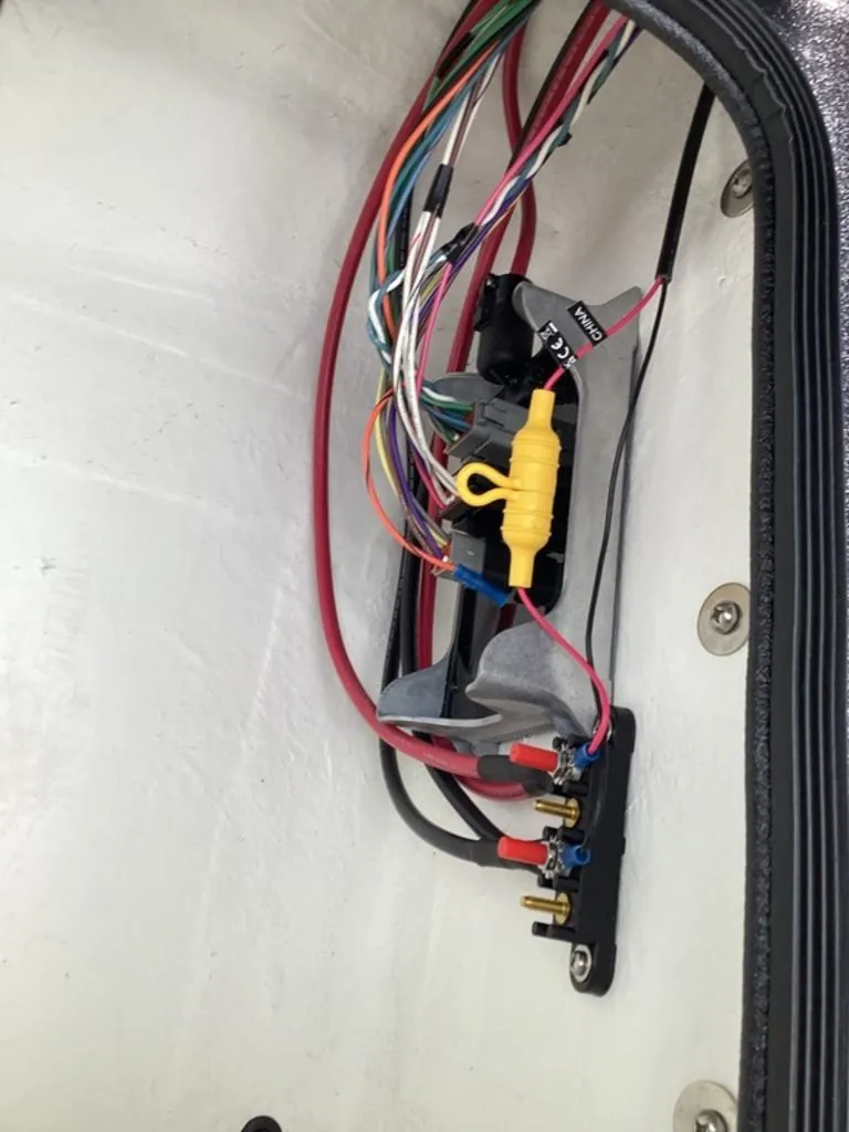 Slide: The Image of Bass Cat Lynx 2026 - 62