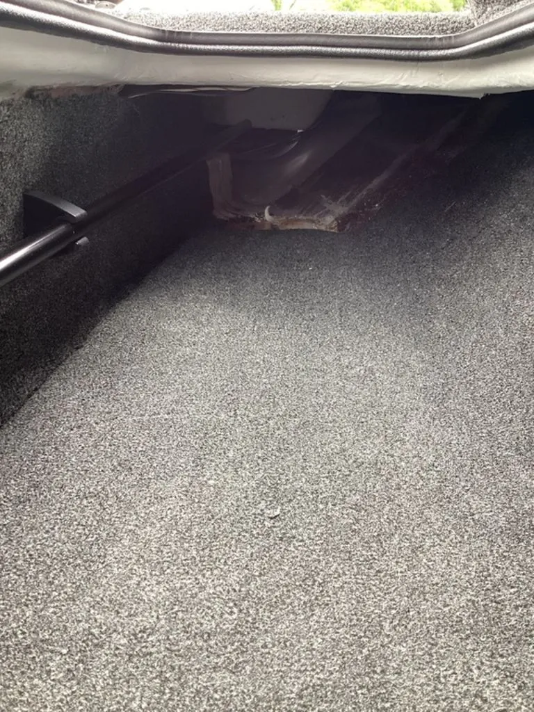 Slide: The Image of Bass Cat Lynx 2026 - 68