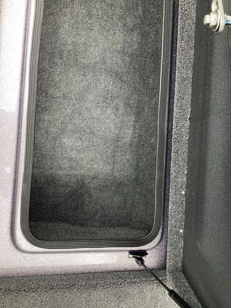 Slide: The Image of Bass Cat Lynx 2026 - 69