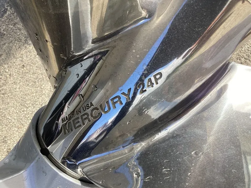 Slide: The Image of Bass Cat Lynx 2026 - 7