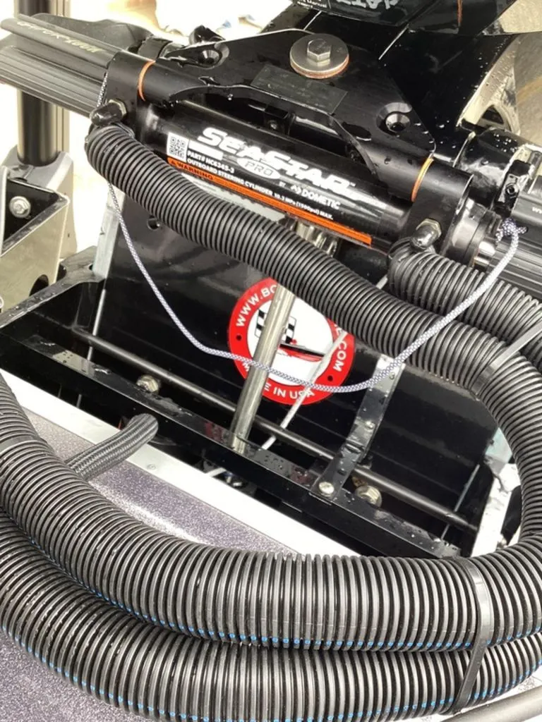 Slide: The Image of Bass Cat Lynx 2026 - 81