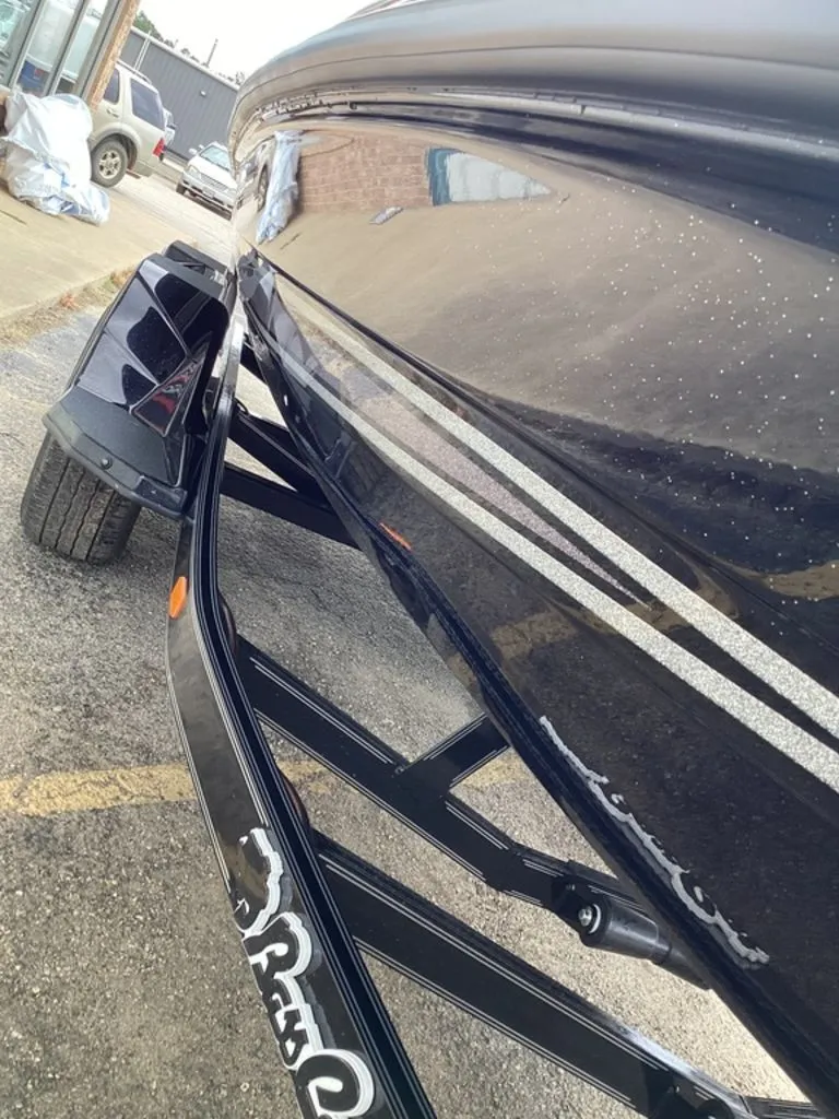 Slide: The Image of Bass Cat Lynx 2026 - 89