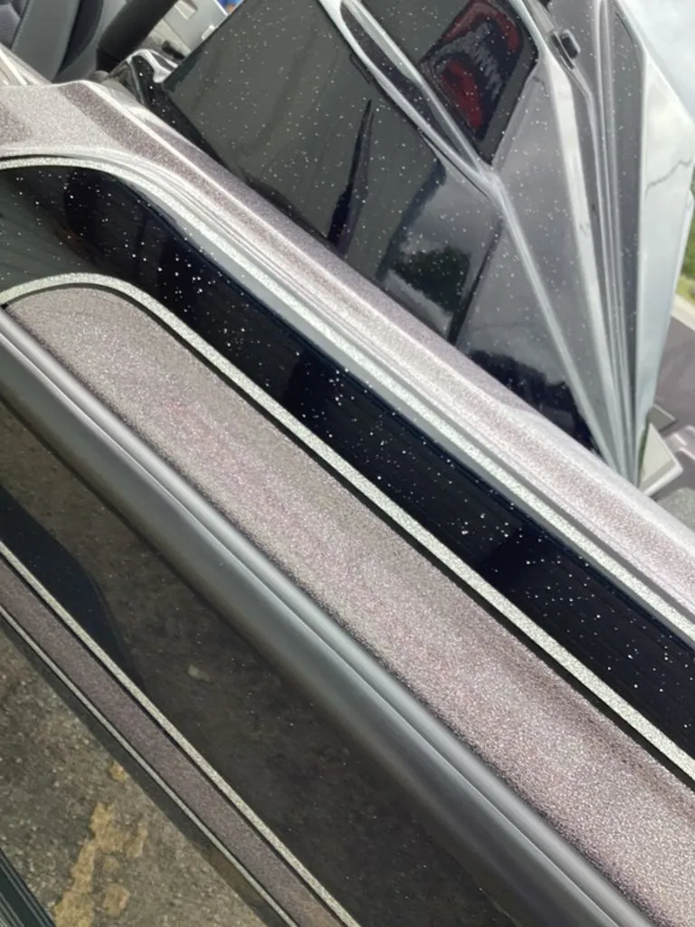 Slide: The Image of Bass Cat Lynx 2026 - 91