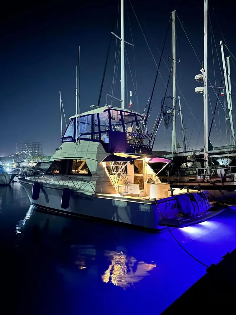 Slide: The Image of Underwater lights - 1