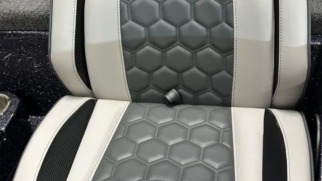 Slide: The Image of Bass Cat LYNX STS 2026 - 11