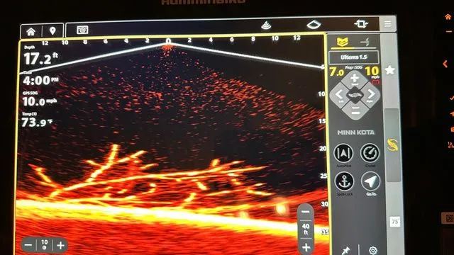 Slide: The Image of Bass Cat LYNX STS 2026 - 17