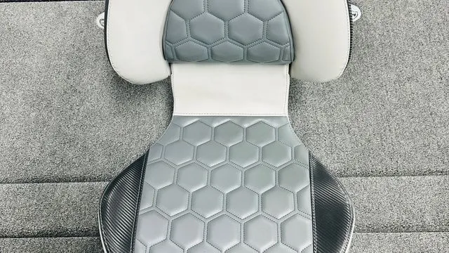 Slide: The Image of Bass Cat LYNX STS 2026 - 32