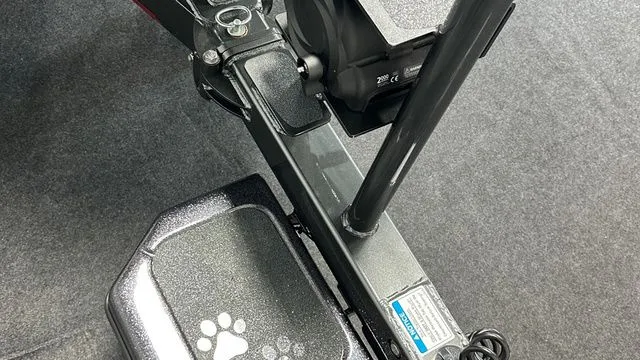 Slide: The Image of Bass Cat LYNX STS - IN SHOWROOM 2026 - 15