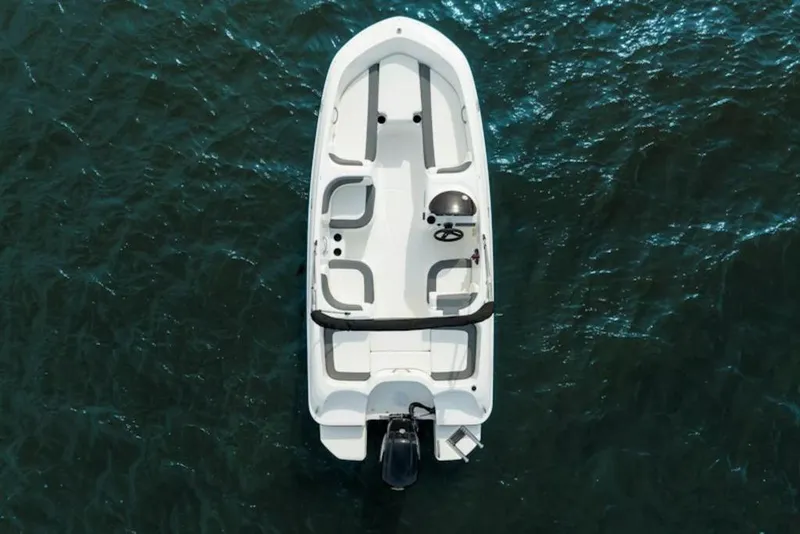 Slide: The Image of 2026 Bayliner Element E16 boat on open water, aerial view. - 5