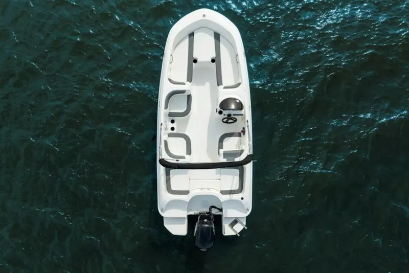 Slide: The Image of 2026 Bayliner Element E16 boat on open water, aerial view. - 32