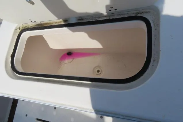 Slide: The Image of Livewell on 2006 Sea Hunt Triton 260 boat with pink residue inside. - 5