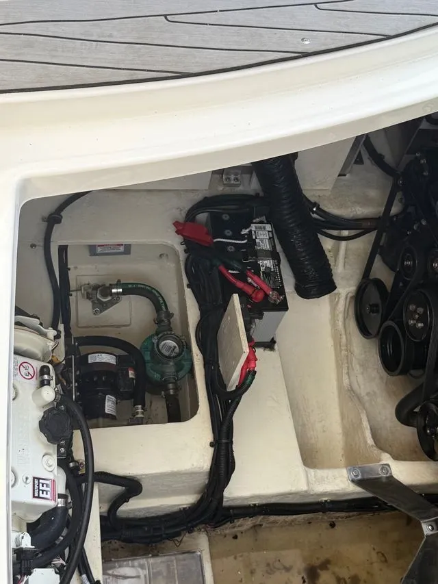 Slide: The Image of Sea Ray Sundancer 350 Coupe 2021 - 15