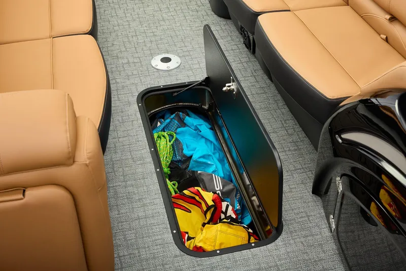 Slide: The Image of Regency 250 DL 2026 - 31