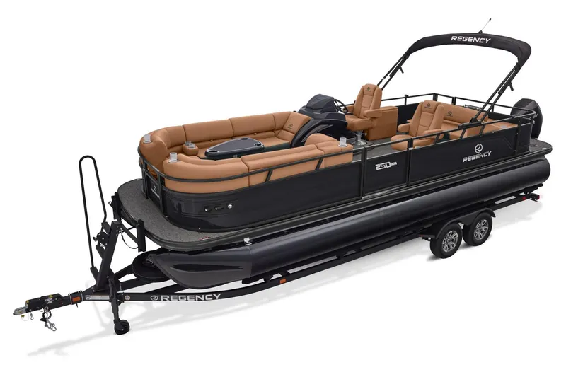 Slide: The Image of Regency 250 DL RF 2026 - 12