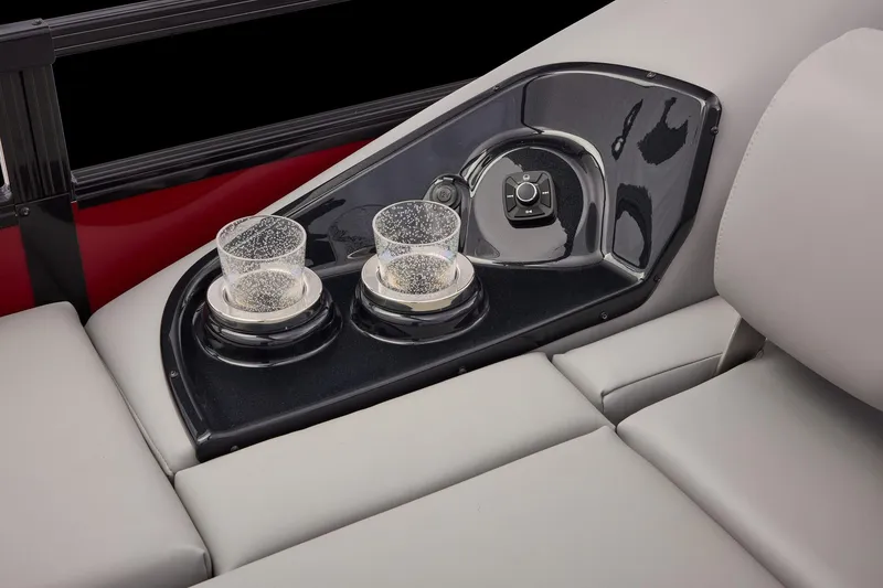 Slide: The Image of Regency 250 DL RF 2026 - 66