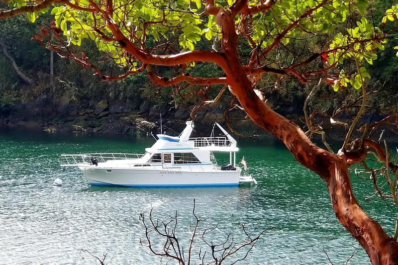 Slide: The Image of 1977 Uniflite 42 Convertible yacht anchored in a serene, tree-framed bay. - 24