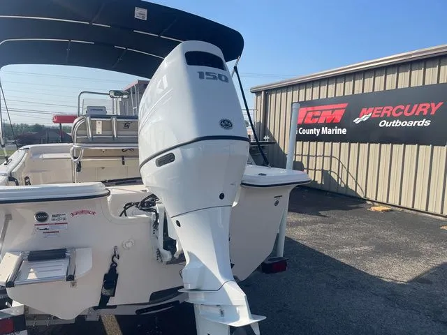 Slide: The Image of Carolina 21 LS 2023 - 3