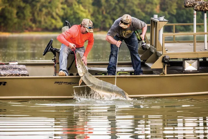 Slide: The Image of Manufacturer Provided Image - 84