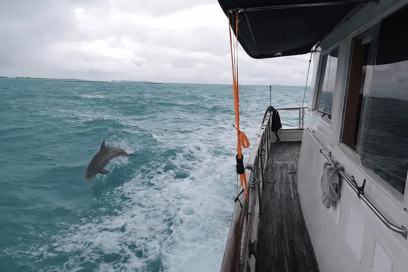 Slide: The Image of Grand Banks 49 Classic 1991 - 67