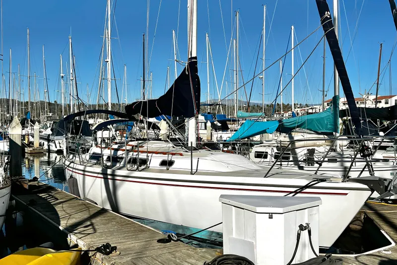 The Image of 1985 Catalina 36 sailboat docked in a marina with clear blue skies. - 0